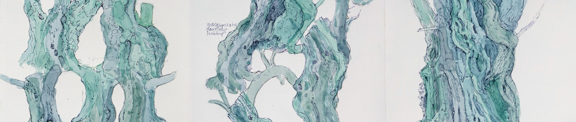 Stefan Kaiser - Olivenbäume auf Kreta II - 2022 - Farbstift und Aquarell auf fotografierter Bleistiftzeichnung - 35x140 cm
