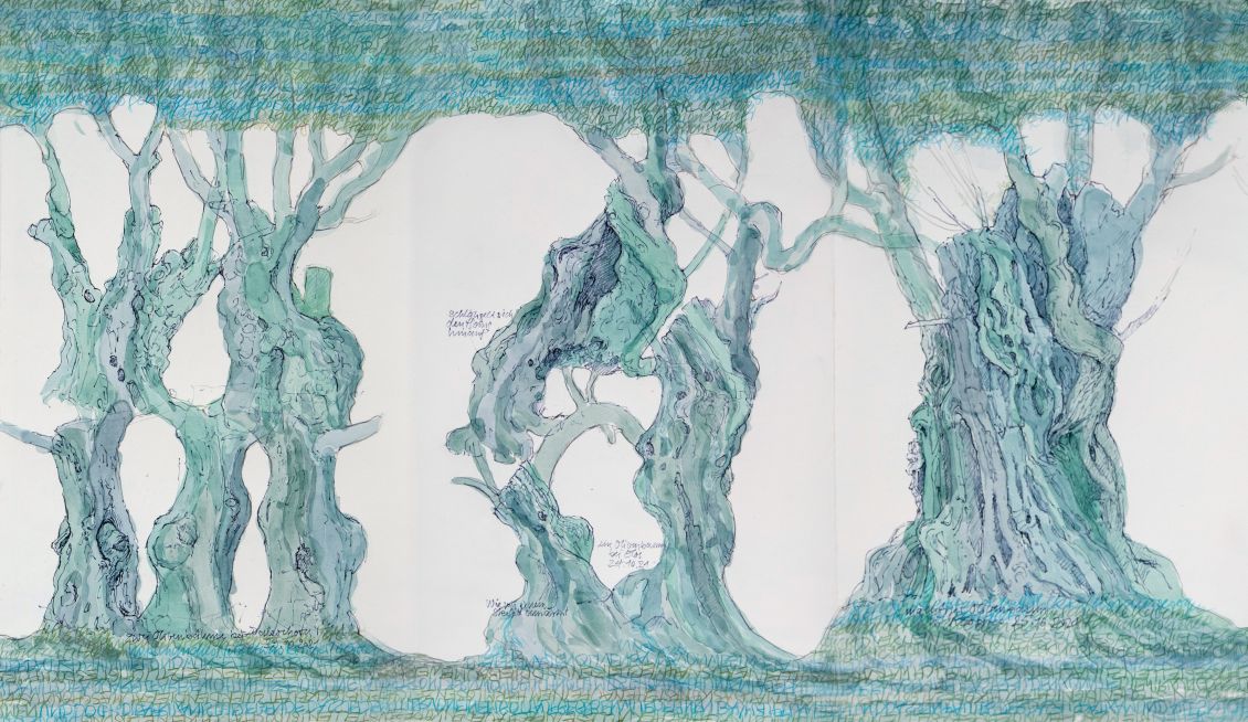 Stefan Kaiser, Olivenbäume auf Kreta II, 2022, Farbstift und Aquarell auf fotografierter Bleistiftzeichnung, 35 x 140 cm